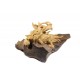 Natural Crawling Teak Dragon Sculpture