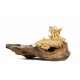 Natural Crawling Teak Dragon Sculpture