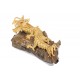 Natural Crawling Teak Dragon Sculpture