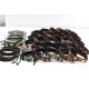 Leather Bands Bracelets Frienship Bands