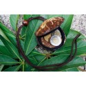 Coconut Shell Change Purse 