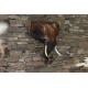 8 Inch Wooden Elephant Head Wall Carving