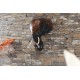 8 Inch Wooden Elephant Head Wall Carving