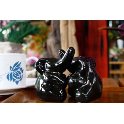 Elephant Hugging Black Salt and Pepper Shakers