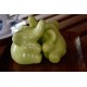 Elephants Hugging Green Salt and Pepper Shakers