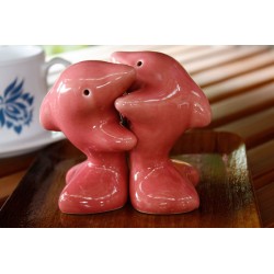 Dolphins Hugging Pink Salt and Pepper Shakers