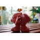 Dolphins Hugging Red Salt and Pepper Shakers